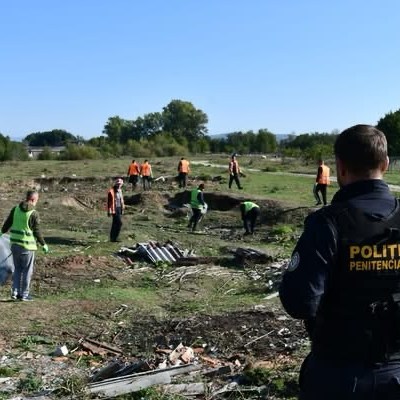 Ai nevoie de ajutor prin gospodărie? Aproximativ 27 de lei pe oră, atât costă o oră de muncă atunci când ai nevoie de ajutor.